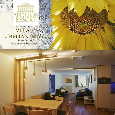 Vila C Apartmán Lednice