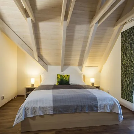 Vila C Apartmán *
